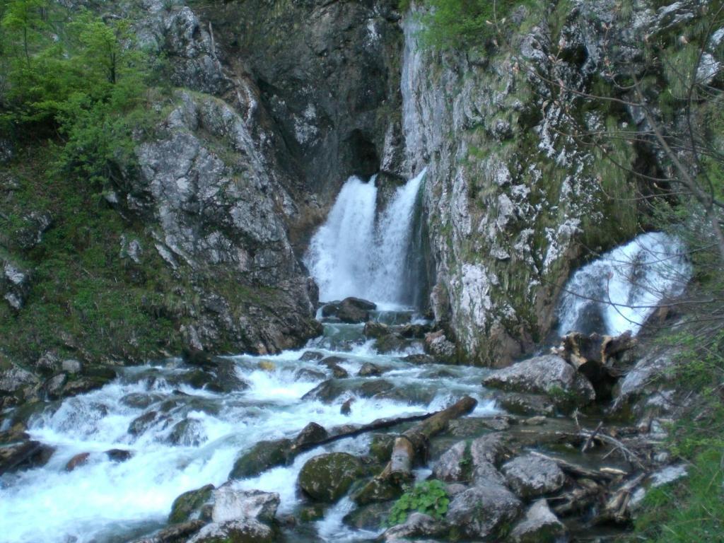 Haus Alpengluehn Daire Abtenau Dış mekan fotoğraf